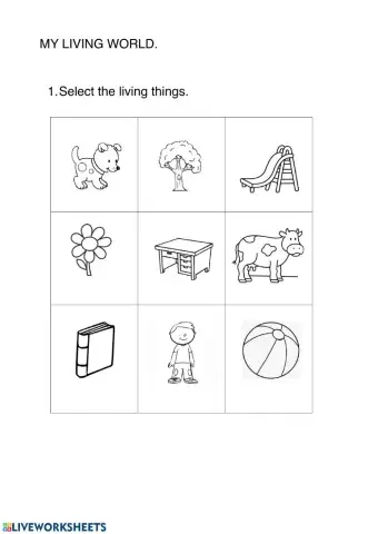 Living things and plants