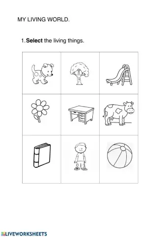 Living things and plants