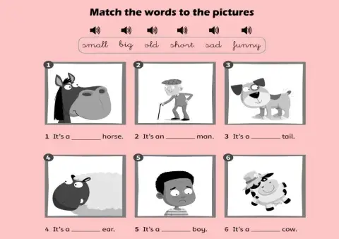 Animals and adjectives