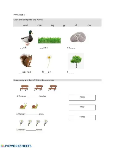 Review- Living things-Non-Living things