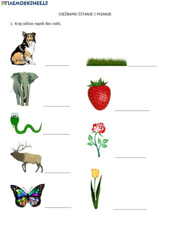 Vježbamo čitanje i pisanje