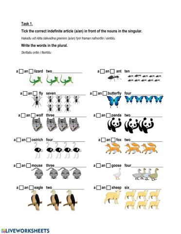 Animals Singular and Plural