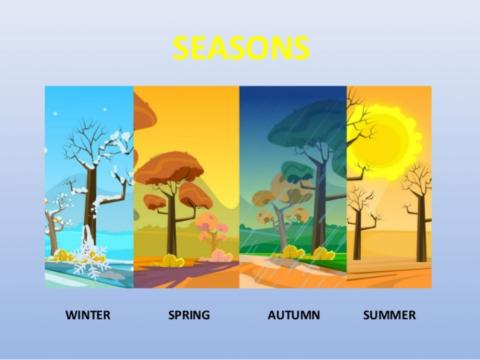 Seasons