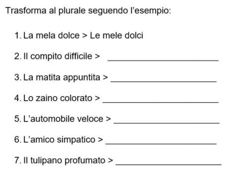 Trasforma al plurale