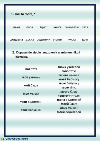 Rosyjski - род имён существительных