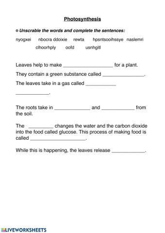 Complete the sentences