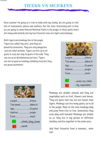 Monkeys&Tigers