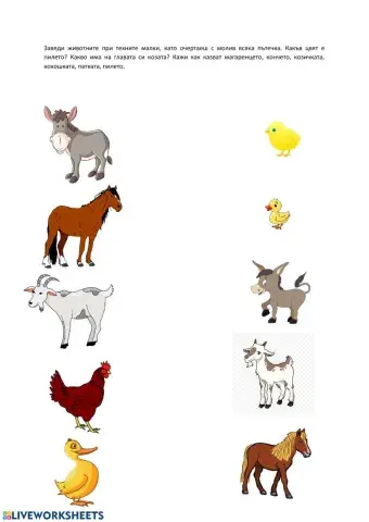 Малките животни