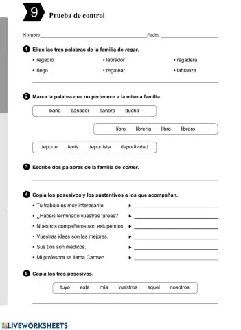 Control tema 9 Lengua