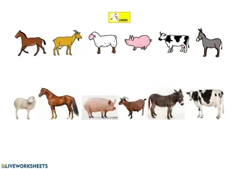 Abbinamento immagini animali fattoria