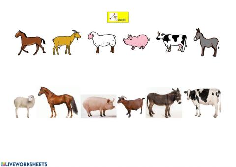 Abbinamento immagini animali fattoria