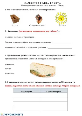 Самостоятелна работа - Живи организми