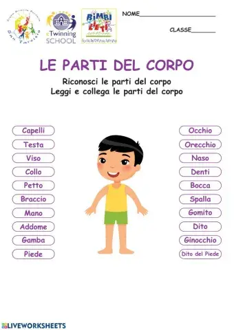 Le parti del Corpo