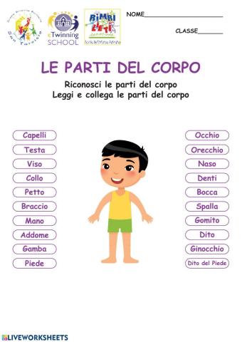 Le parti del Corpo