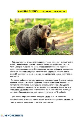 Кафява мечка