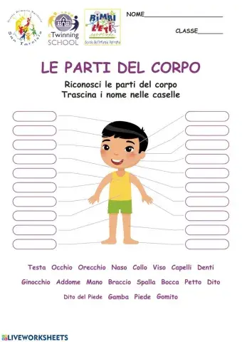 Le parti del corpo