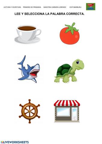 Elige la palabra correcta