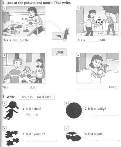 Possesive adjectives: my-your