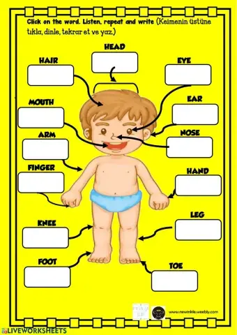 Body Listen, learn and write