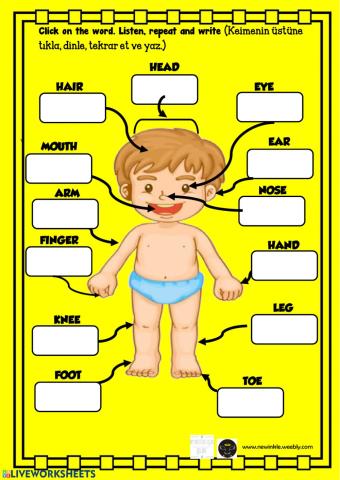 Body Listen, learn and write