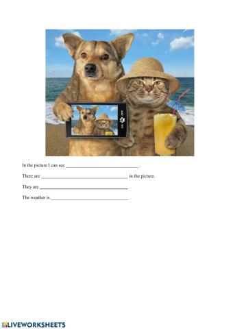 Picture description - opis obrazka