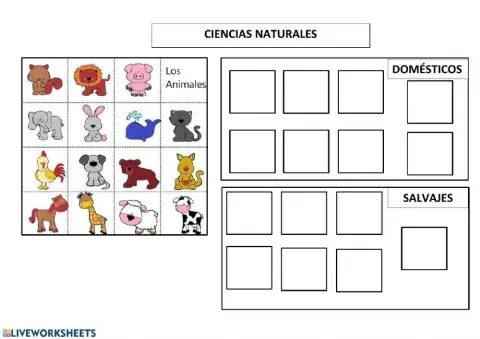 Animales domésticos y salvajes