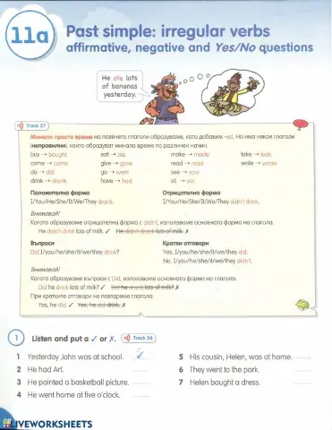 11A-Grammar Book -Past Simple