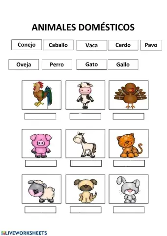 Animales domésticos