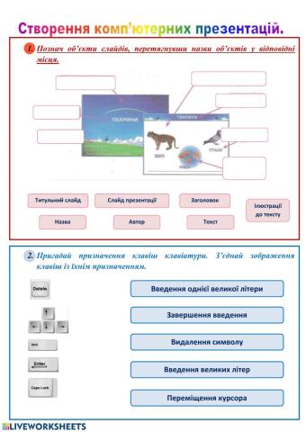 Презентації