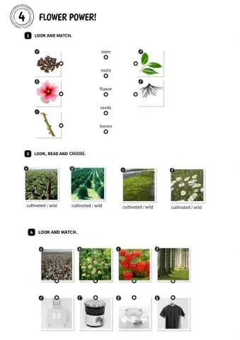 Unit 4 Flower Power!