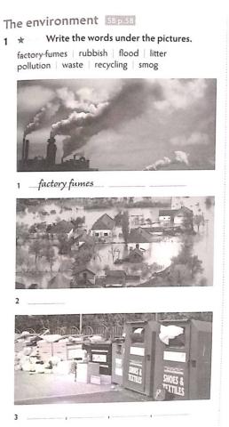 The Environment Vocabulary