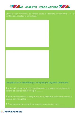 Aparato circulatorio