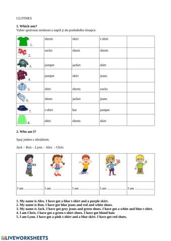 Clothes - jeans, t-shirt, shoes, jacket, jumper, hat, shirt, skirt