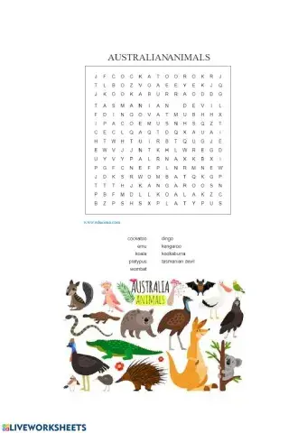 Australian animals wordsearch