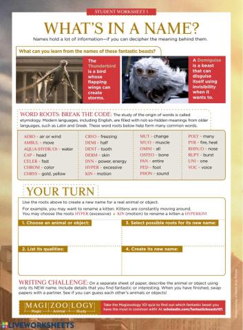 Fantastic Beasts Activity 2