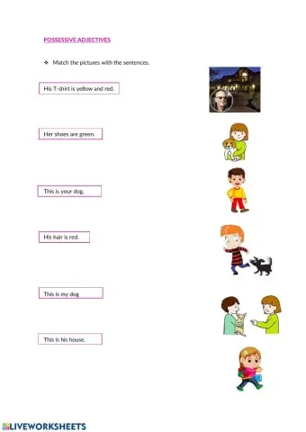 Possessive adjectives