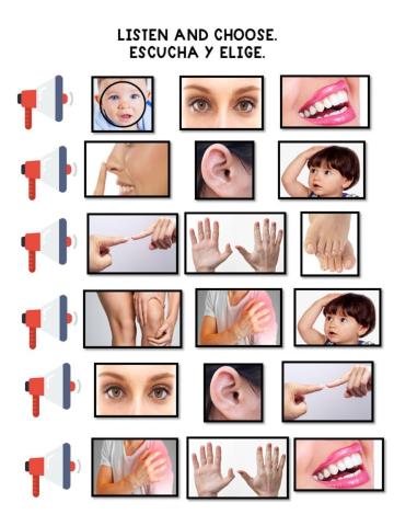 Listen and choose the correct one