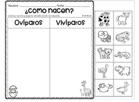 Clasificar entre ovíparos o vivíparos