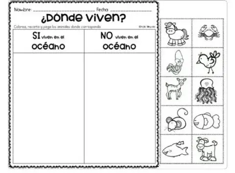 Clasificación de animales terrestres y acuáticos