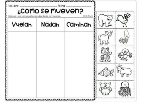 Clasificación de animales: vuelan, nadan o caminan