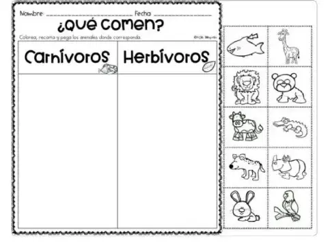 Clasificación de animales: carnívoros y herbívoros