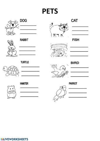 Animals: pets