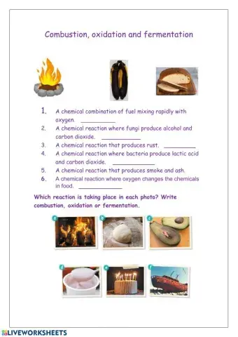 Oxidation, combustion and fermentation