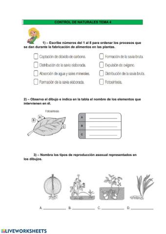 Control tema 4 naturales