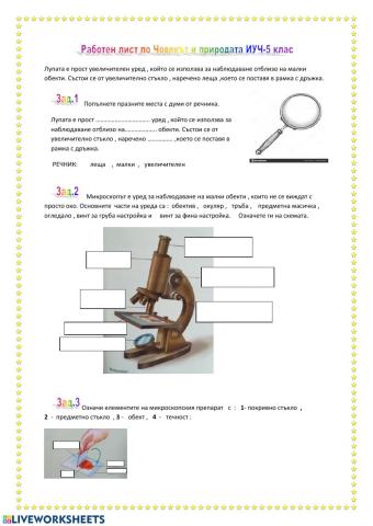 Лупа и микроскоп