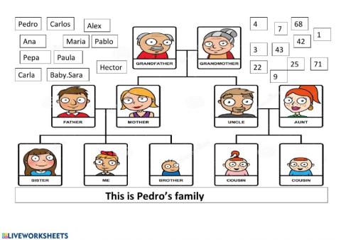 Pedro's family