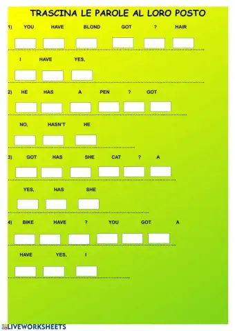 esercizio have got interrogative