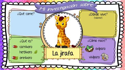 Investigación sobre la jirafa