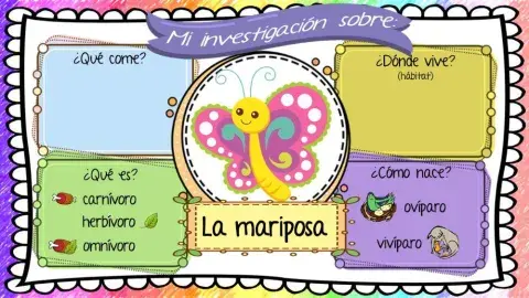 Investigación sobre la mariposa