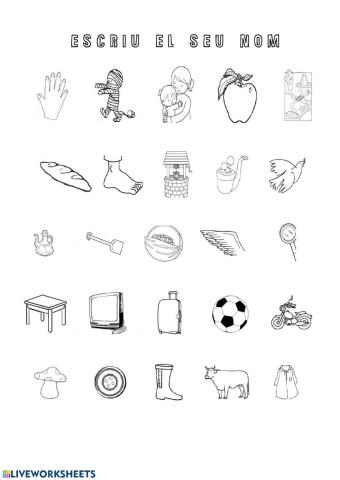 Vocabulari basic m p l